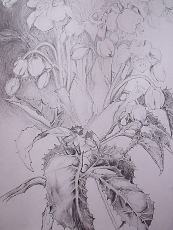 8fdf1c38040691.57546a68abdca