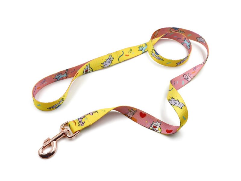 dog-leads-14109