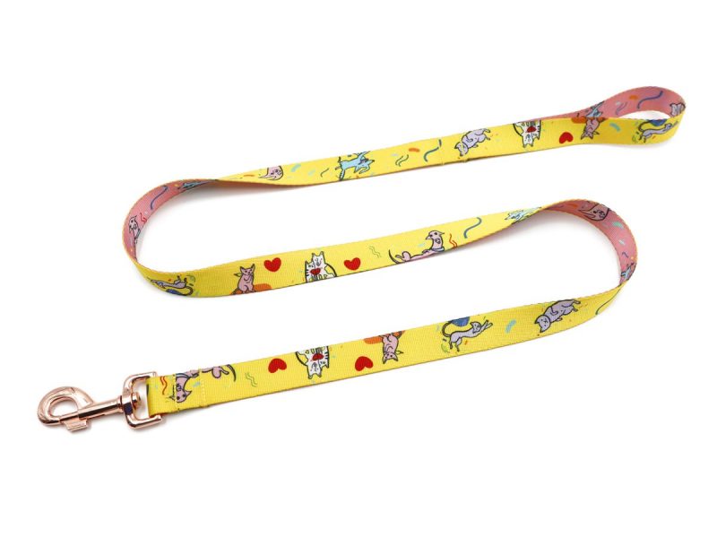 dog-leads-14111