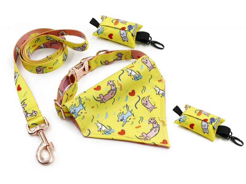 dogs-collar-with-print-14163